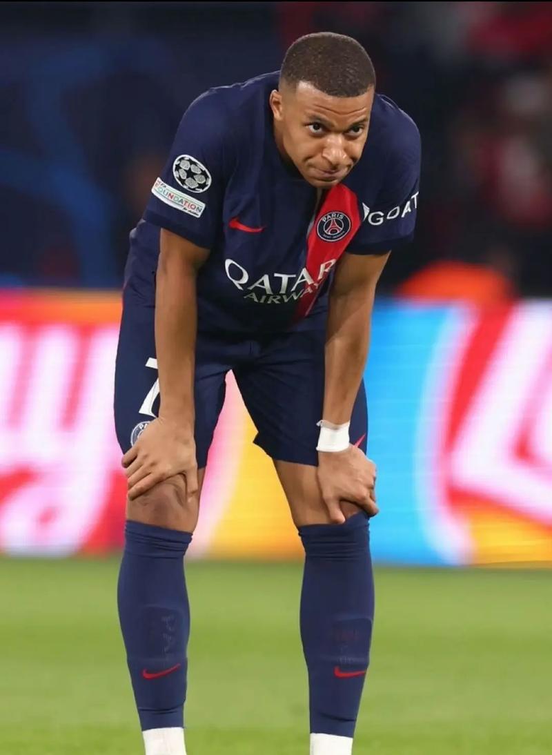 占旭刚任举重摔跤柔道中心主任，王励勤任乒羽中心副主任